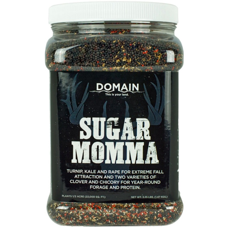 Next Product Image